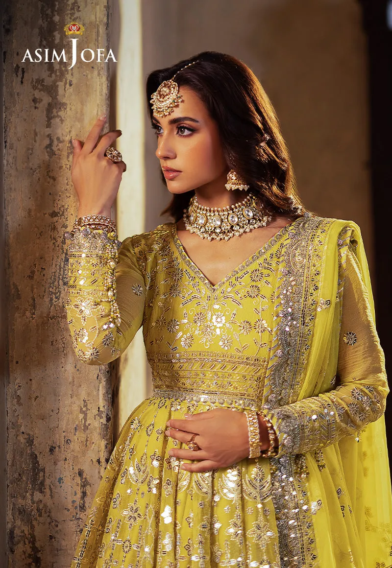 ASIM JOFA | Asim Jofa Bekhudi Collection '24 ( AJKB-12)