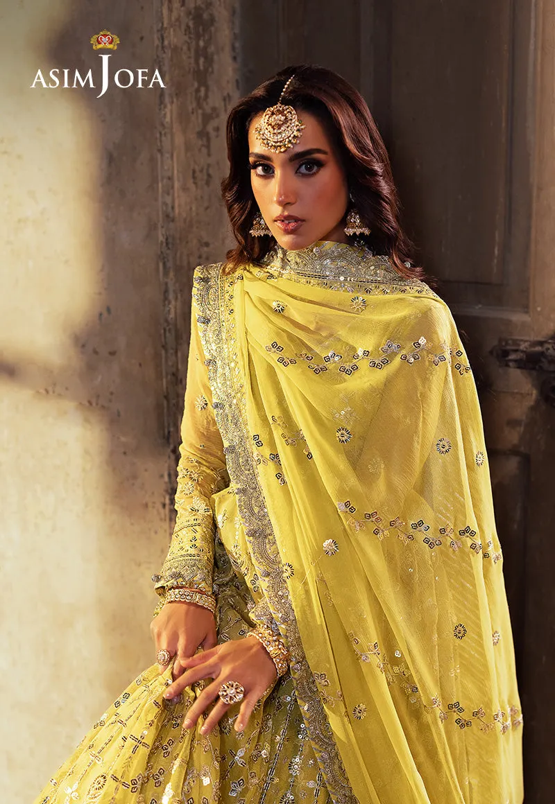 ASIM JOFA | Asim Jofa Bekhudi Collection '24 ( AJKB-12)