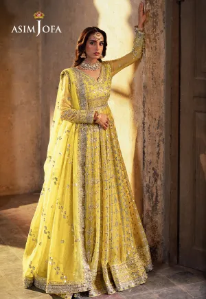 ASIM JOFA | Asim Jofa Bekhudi Collection '24 ( AJKB-12)
