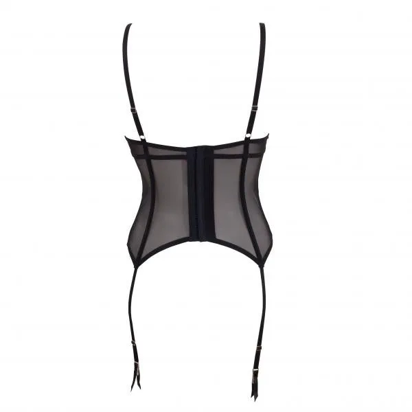 Echo Basque - Blue/Black -