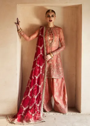 HUSSAIN REHAR - Wedding Festive Collection 2024 | ROMAWI