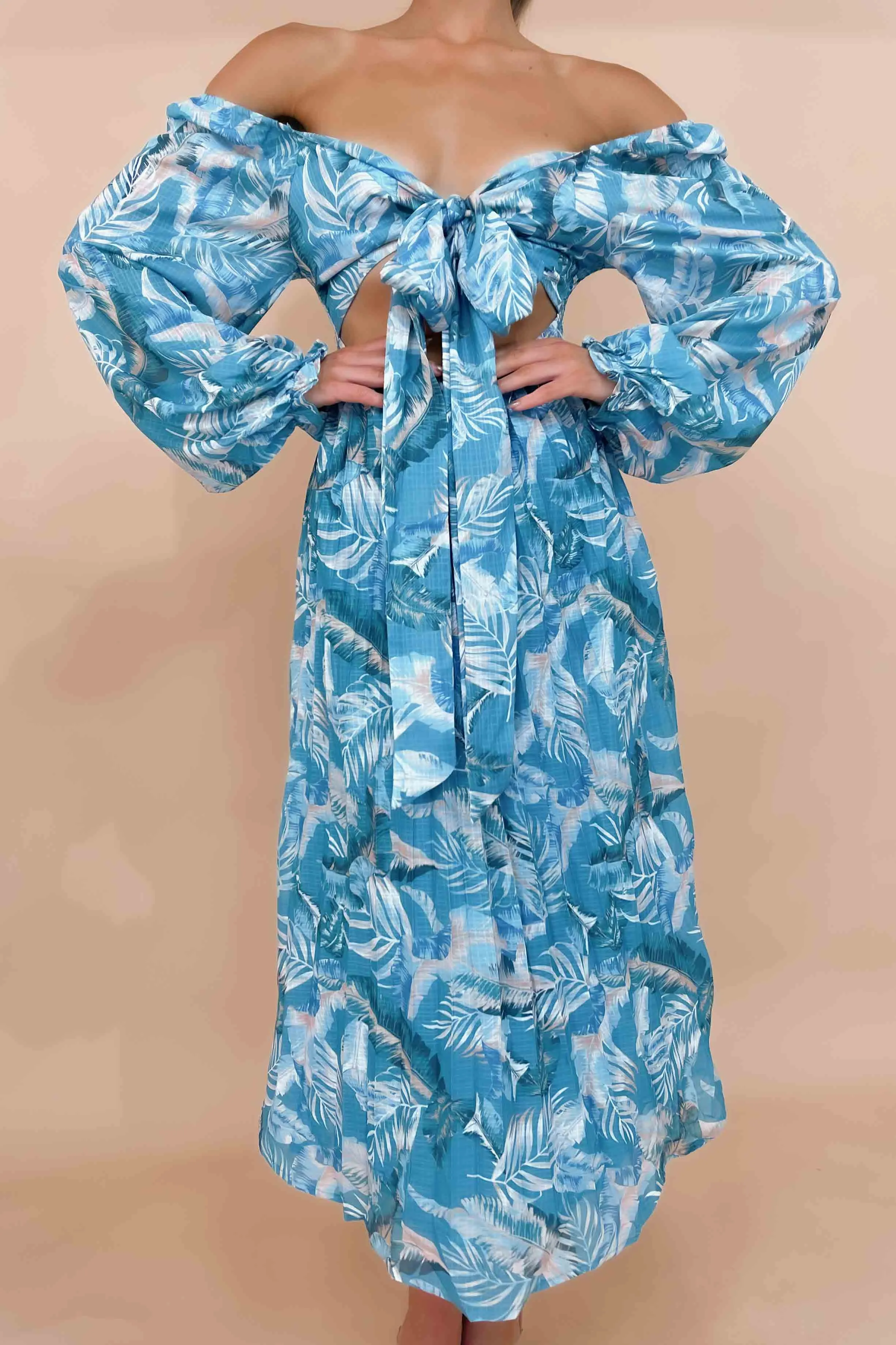 Jemmet Dress