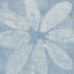 JX.25003