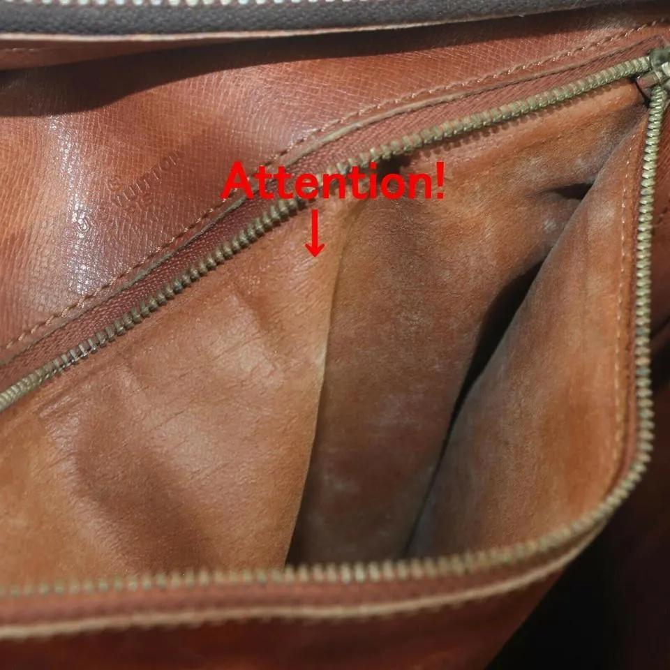 Louis Vuitton XL Monogram Danube GM Crossbody Bag 863018