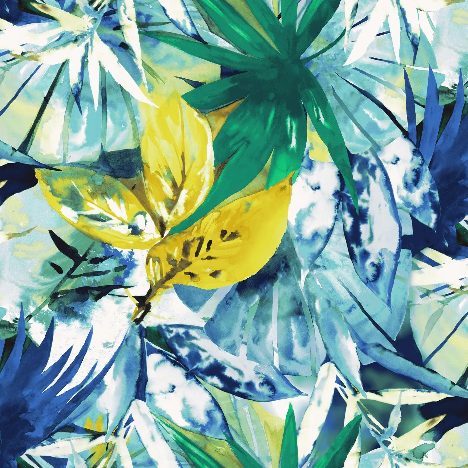Print Top - Starfall